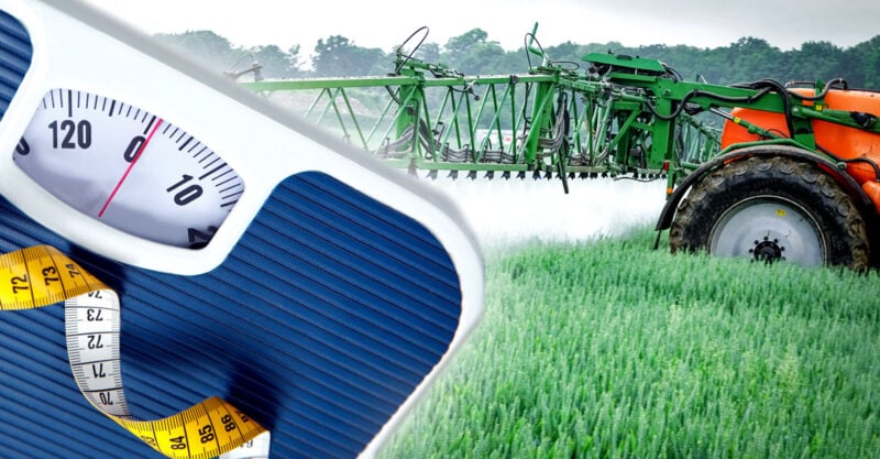 From Plastics to Pesticides: Chemicals May Promote Stress That Leads to Obesity