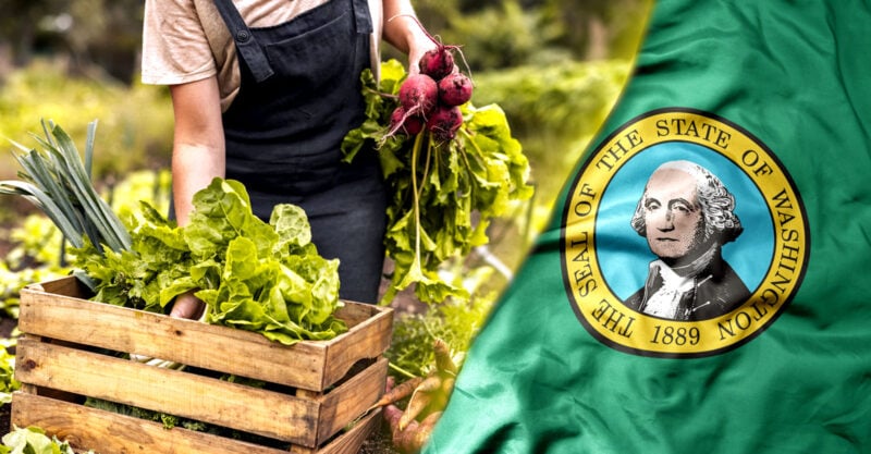 Nation’s First Organic Action Plan Would Help Organic Farmers Thrive