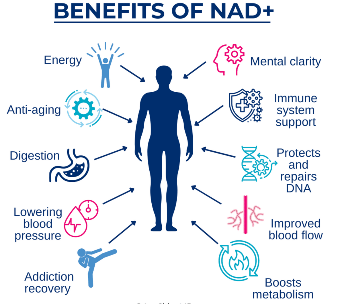 NAD+ and CoQ10: Supporting Cellular Energy, Vitality & Healthy Aging